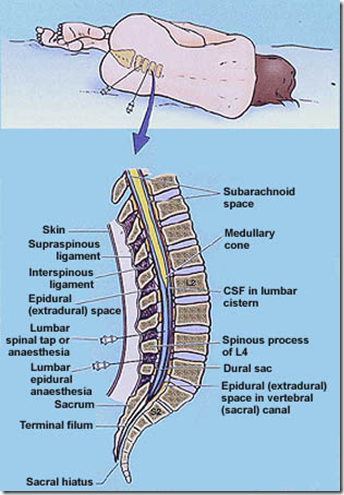 Surface Bony Landmarks | Medatrio